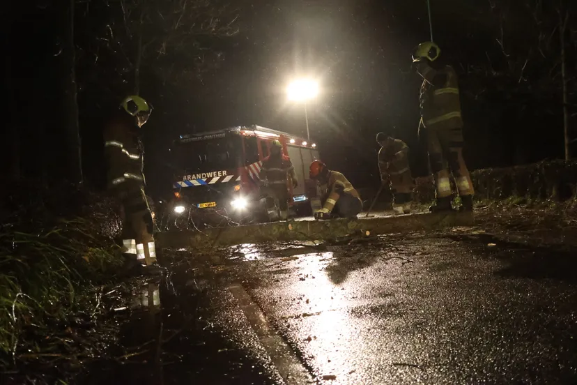 20231221202933 cg4a7811