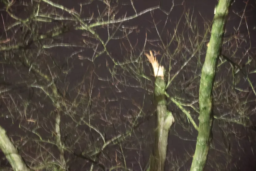 20231221205937 cg4a7834