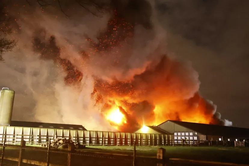 20240325002127 16a5395 1