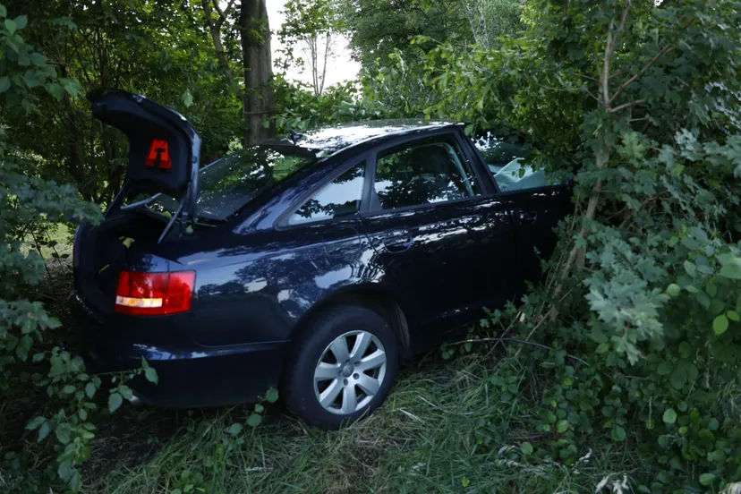 20240623193100 16a8646