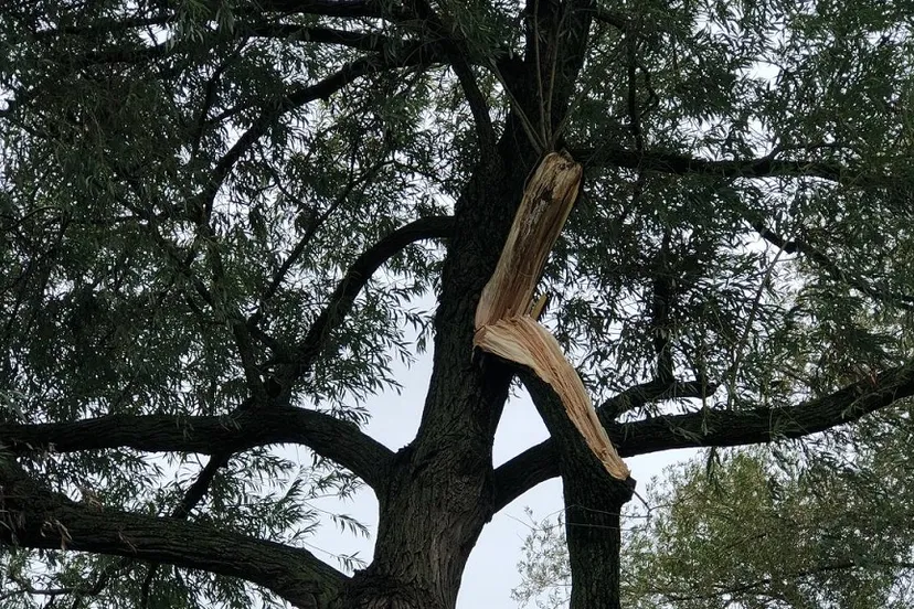 27 07 2023 stormschade veghel 04