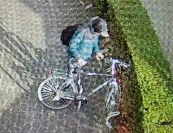 332216239 571527998365331 3295626066976136912 n