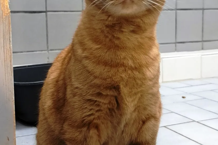 343440536 2300138743493094 3379739876739631135 n