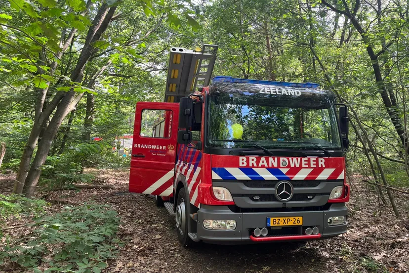 355644783 245399921555605 6561913100471129001 n