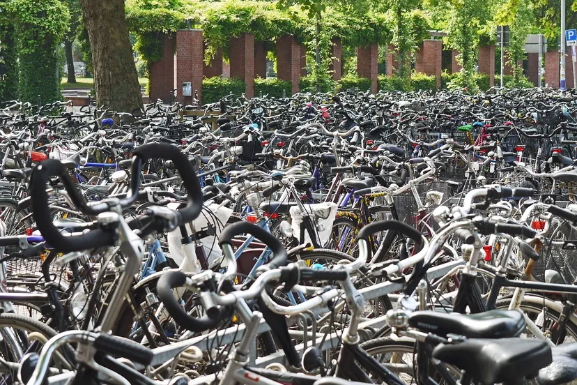 cyclemania g2610d41aa 1280