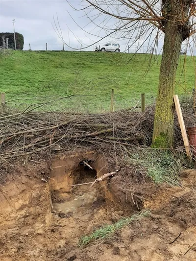 dassenburcht in de teen van de maasdijk bij overlangel
