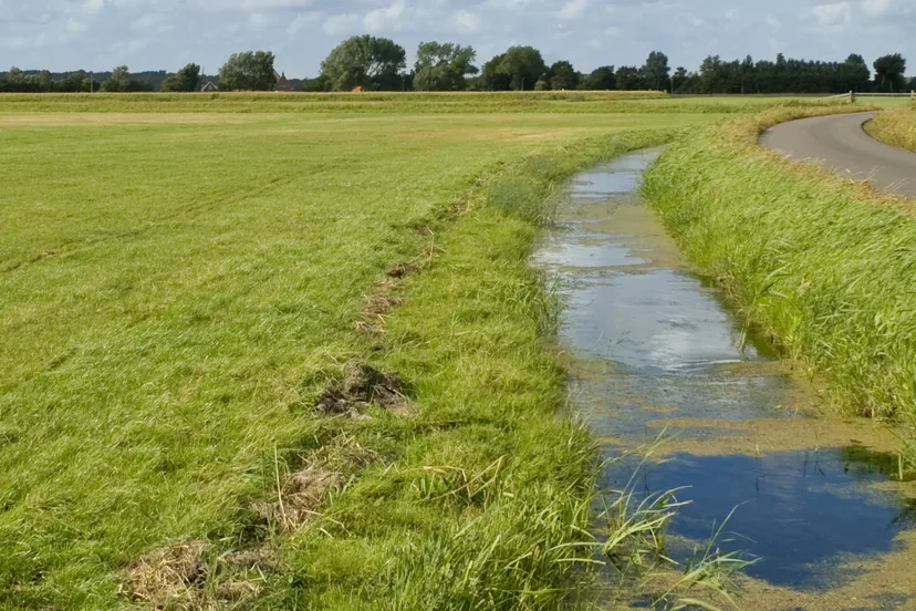 eisen voor waterkwaliteit
