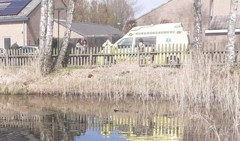 fb img 1681369566468