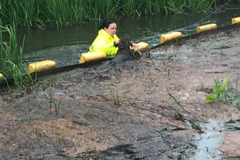 fb img 1683709641471