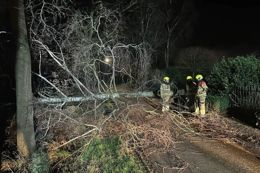 fb img 1704292883754