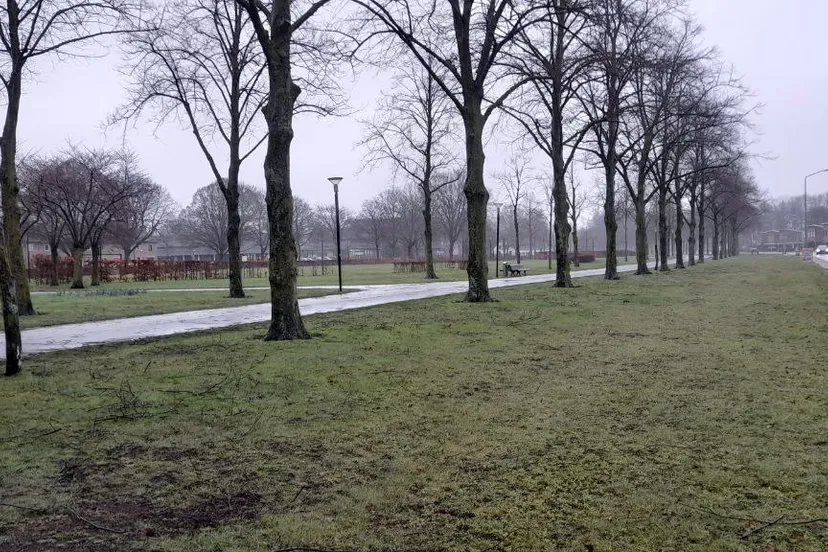 img 20230310 173534 291