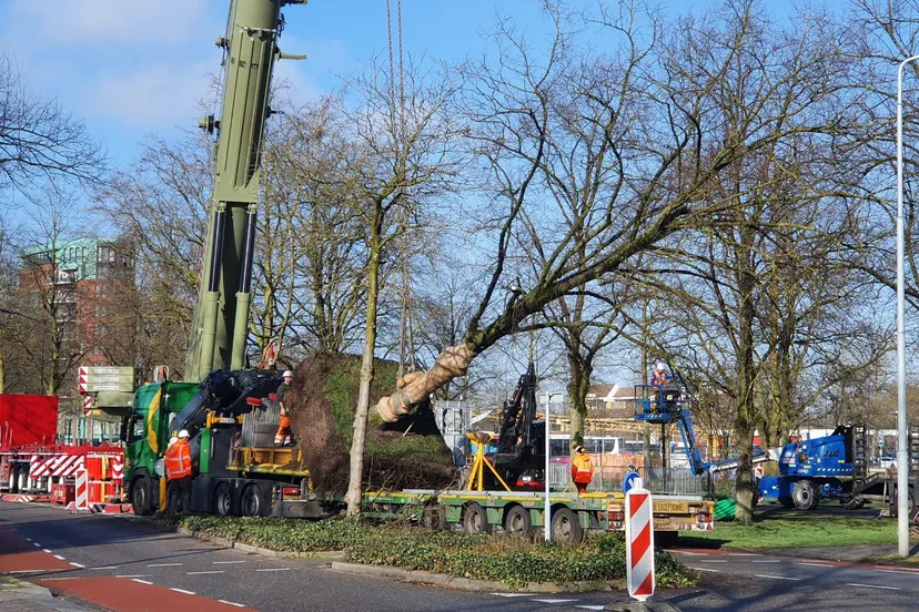 img 20230315 202658 627