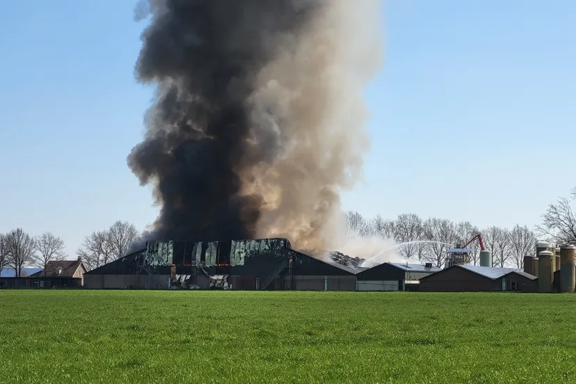 img 20230405 130126 186