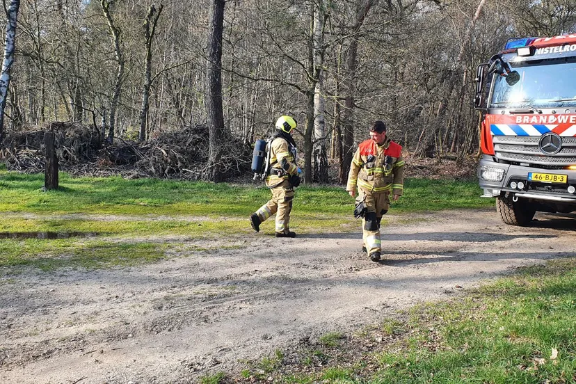 img 20230409 175541 882 1