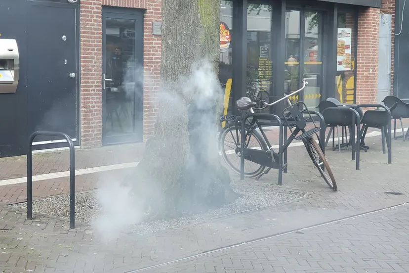 img 20230524 101617 006