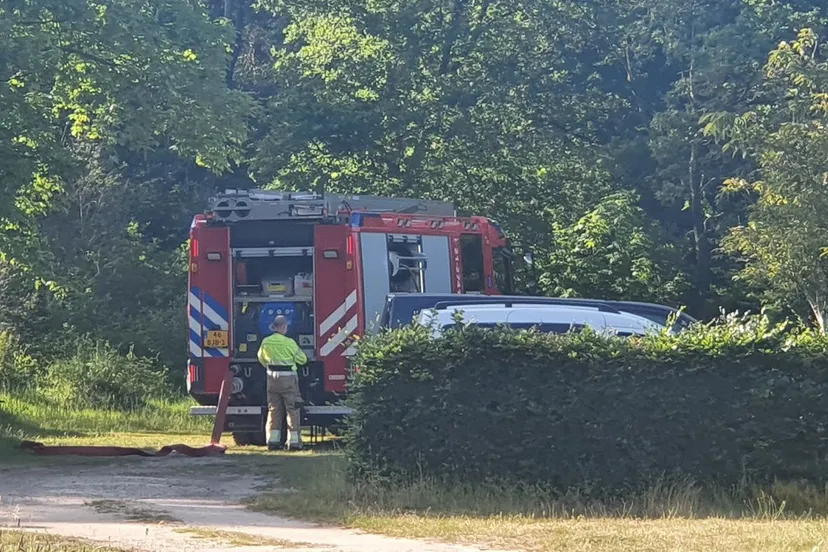 img 20230531 185555 393