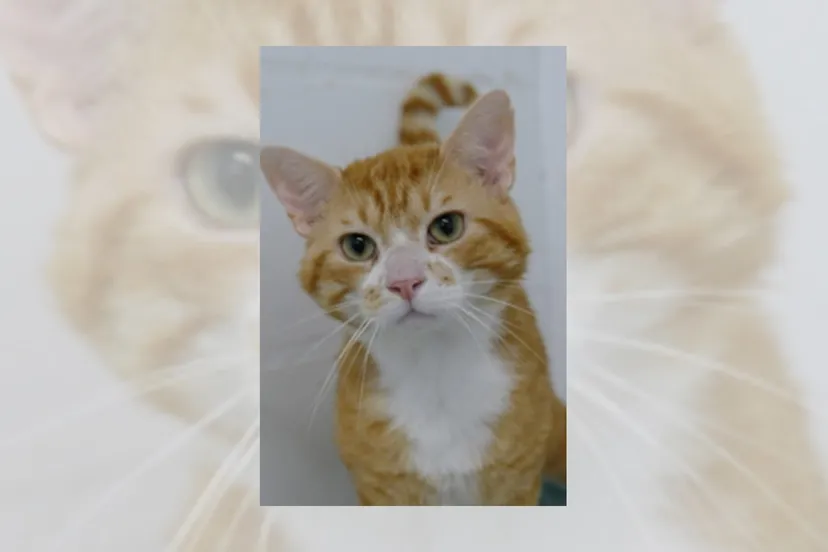 img 20230623 wa0001 1