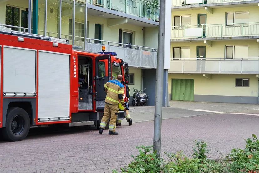 img 20230719 103115 991