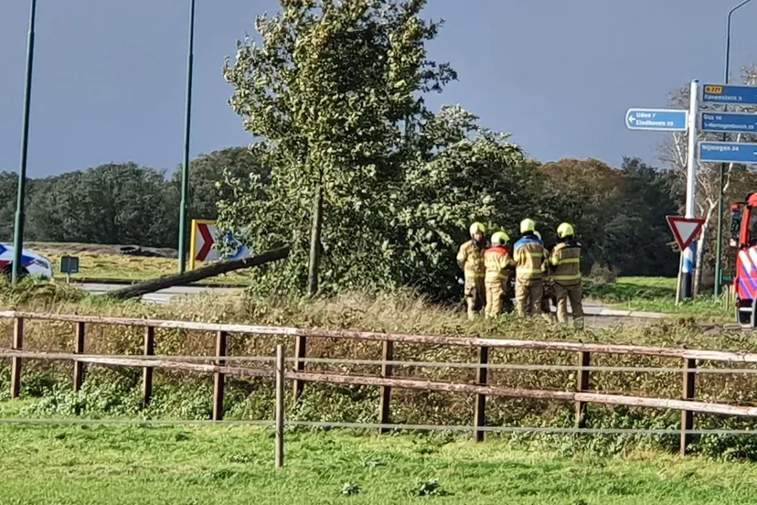 img 20231102 135543 497