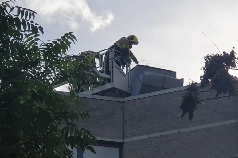 img 20231102 142506 202