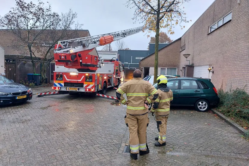 img 20231118 160114 887