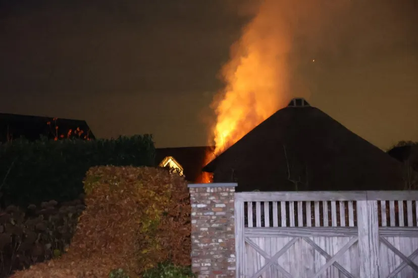 img 20231202 072652 772