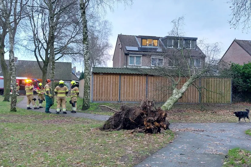 img 20231210 085651 351