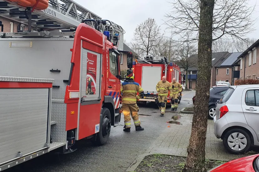 img 20240218 134048 364