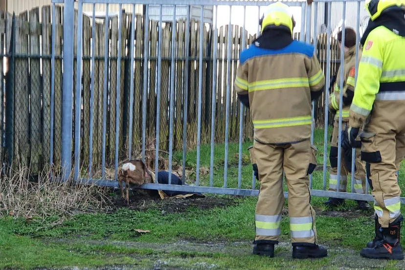 img 20240227 094323 472