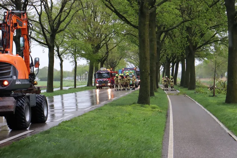 img 20240415 163826 193