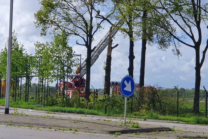 img 20240415 172932 145