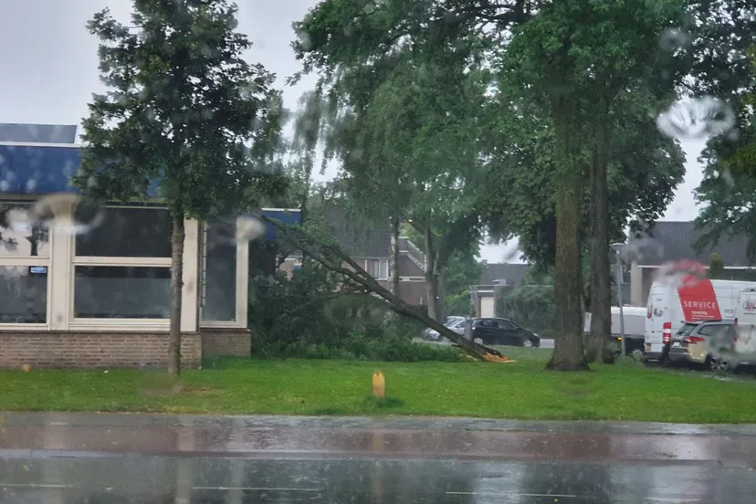 img 20240709 195503 652