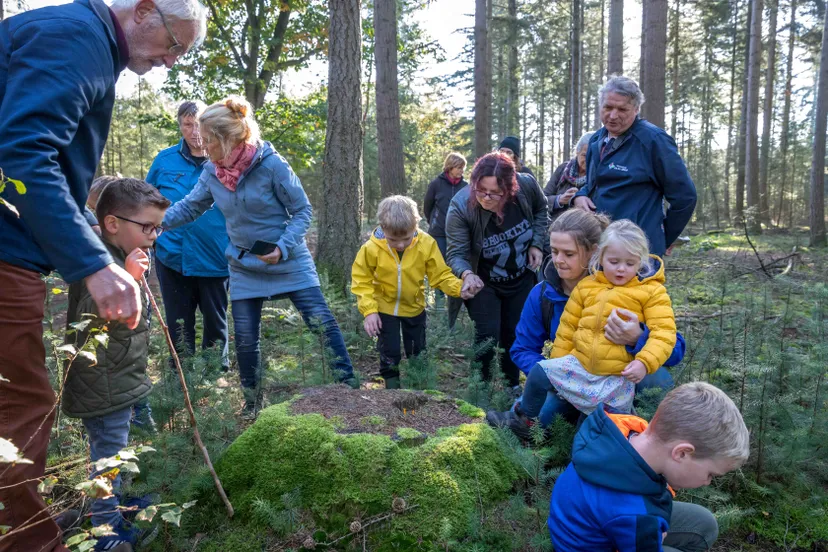 paddenstoelenwandeling 1