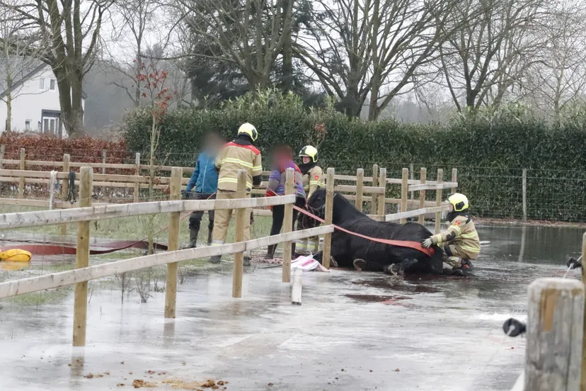 point blur jan112024 154141