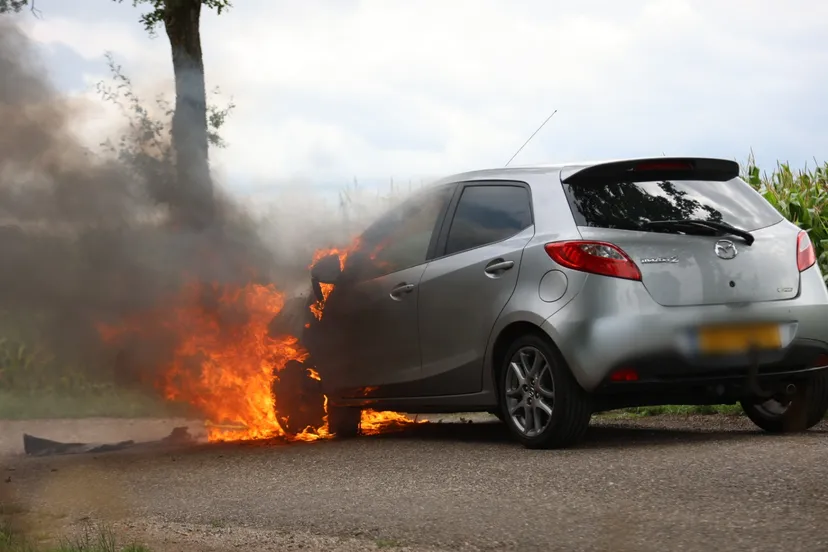 point blur jul282023 170529