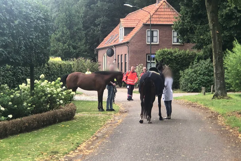 point blur jul302023 130929