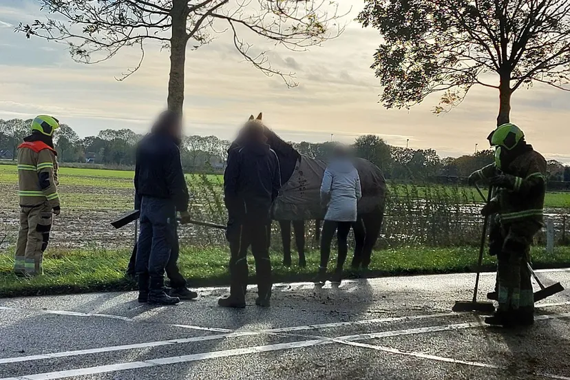 point blur nov042023 094316