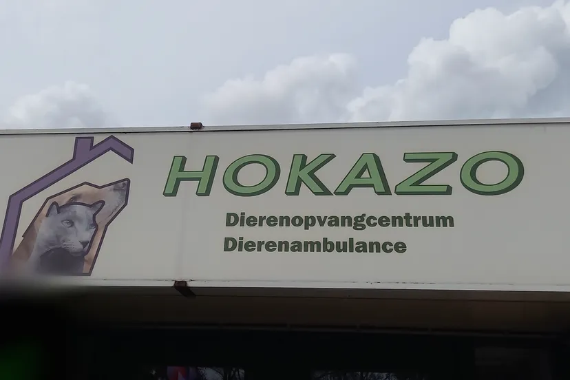 point blur nov222023 215844