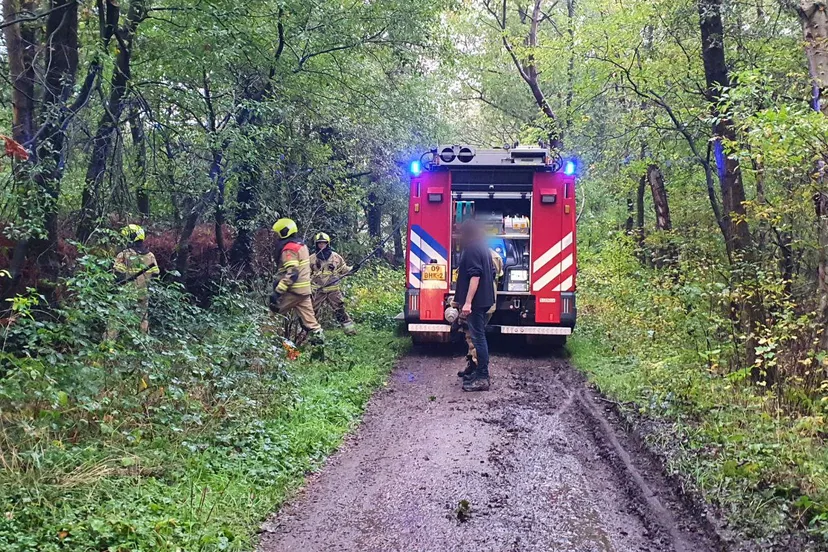 point blur oct272023 182456