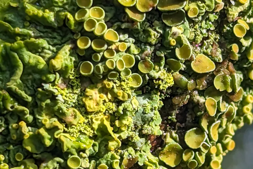 pxl 20231015 091424727 1