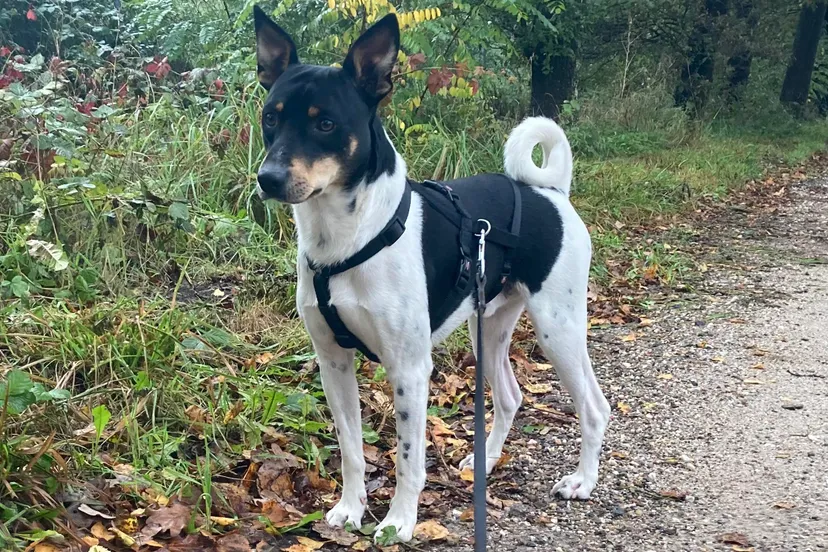 received 1048088356537656