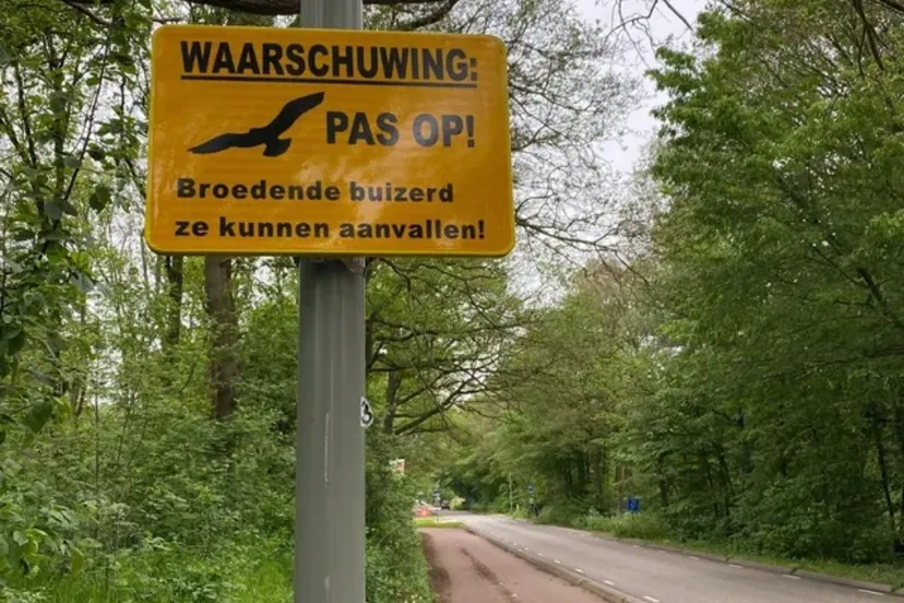 screenshot 20230531 100307 chrome