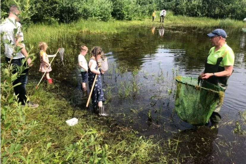 screenshot 20230608 092120 chrome