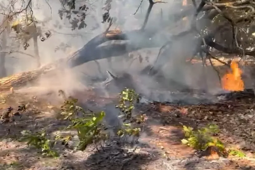 screenshot 20230615 195355 facebook 1