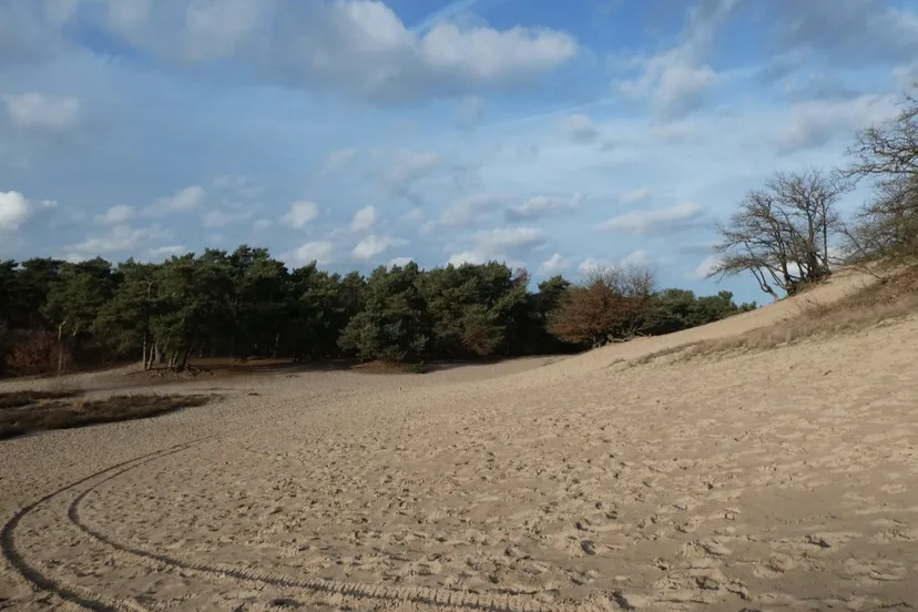 screenshot 20231013 131812 gallery