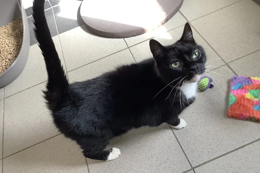 screenshot 20231023 215000 gmail