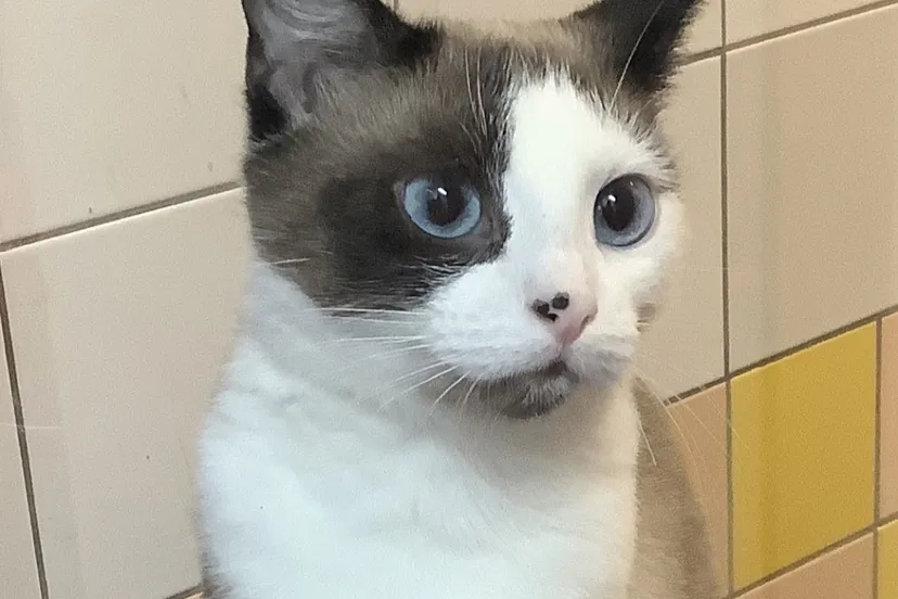 screenshot 20231112 214103 gmail 1