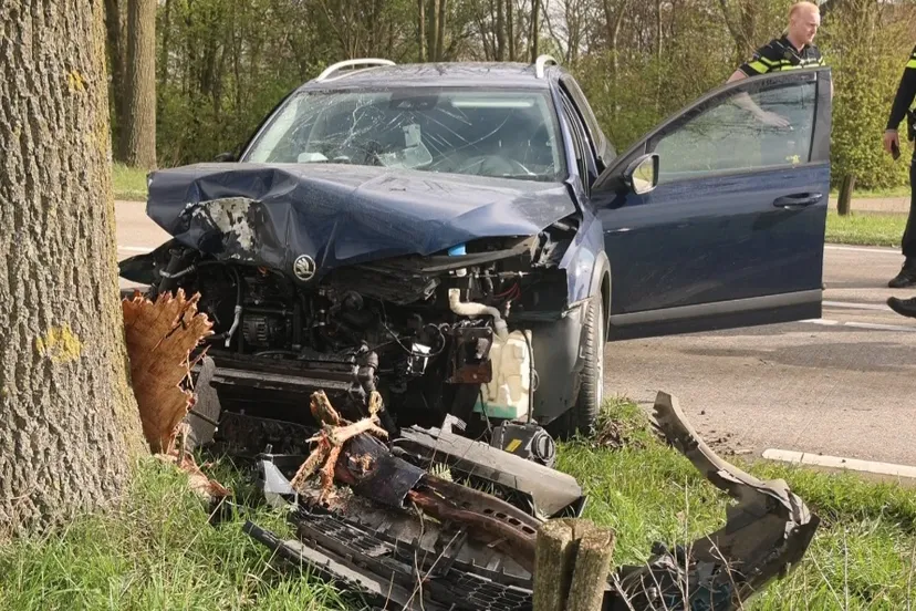 screenshot 20240331 113846 gallery