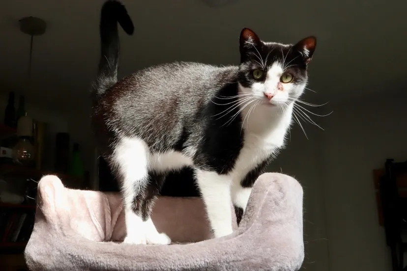 screenshot 20240519 213436 gmail