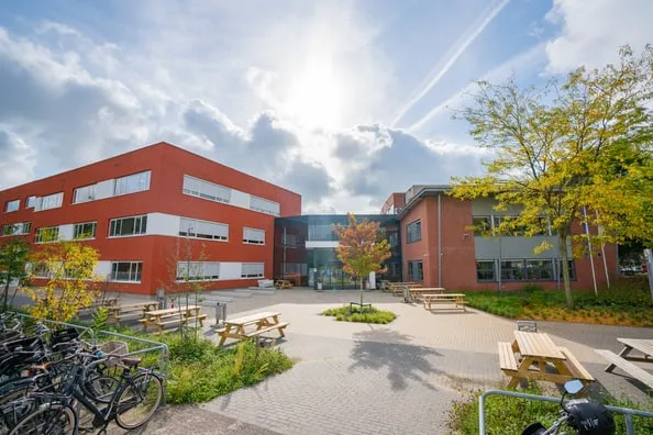 uc waldorf 059 grp 594px 1